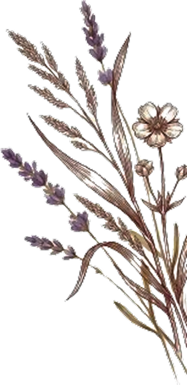 lampu